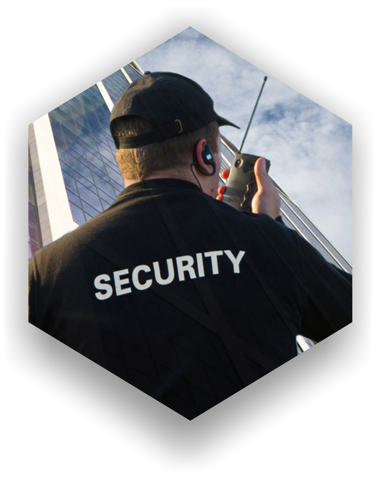 security icon {{brizy_dc_image_alt imageSrc=