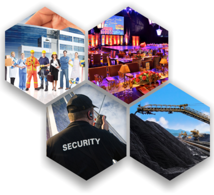 amp group 24 home {{brizy_dc_image_alt imageSrc=